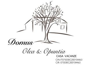 Domus Olea & Opuntia Salento - Galatone - 0