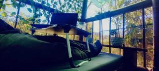 Boresta House -Santa Elena con vista al Bosque y terraza privada - 9