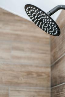 The Nest - 4