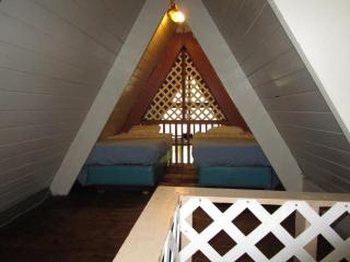 Suwannee River Rendezvous - Mayo - 5