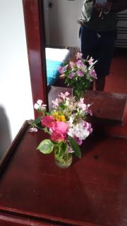 Rain bird guest - Trincomalee - 8
