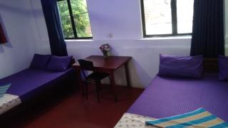 Rain bird guest - Trincomalee - 7