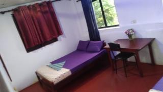 Rain bird guest - Trincomalee - 6
