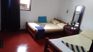 Rain bird guest - Trincomalee - 5
