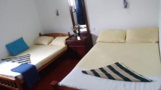 Rain bird guest - Trincomalee - 3