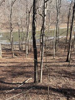 Cabin in the Bay - Eddyville - 9