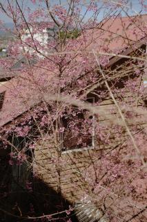 COZY APARTMENT - by The Cozy Stay - Khu Chi Lăng - 9