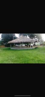 Bamboo Tree House Hotel - - 4