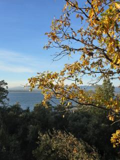 Nuevo Ecolodge Cabañeros - 4