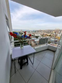 Depto Estudio con hermosa vista al mar - 8