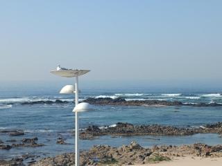 Cachinnans Hostel & Apartments - Vila do Conde - 8
