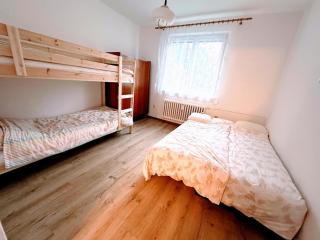 Apartment Rožnov - Rožnov pod Radhostem - Rožnov pod Radhoštěm - 9