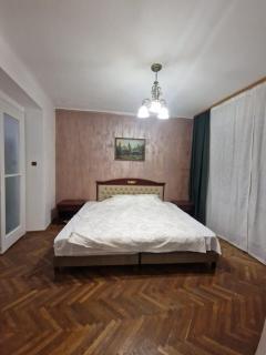 Nyko's Apartment - Brasov - 0