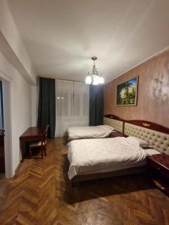 Nyko's Apartment - Brasov - 5