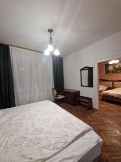 Nyko's Apartment - Brasov - 2