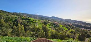 Casa Anjinho - Estreito da Calheta - 5