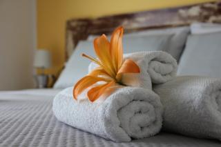 Le Guarattelle House Teresina Room - 1