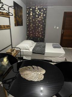 Nice Studio Flore - Saint-Laurent-du-Maroni - 4