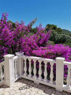 Apartment Vanja - Mali Lošinj - 1