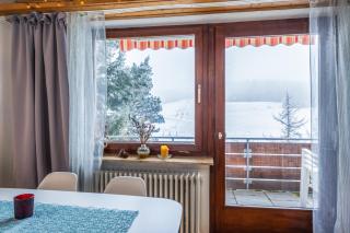 Wohnung mit Pool und Sauna - Schönwald - 4