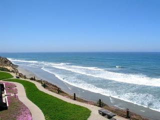 Above the Waves - SUR116 - Solana Beach - 2