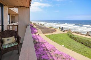 Pacific Perch - SUR115S - Solana Beach - 5