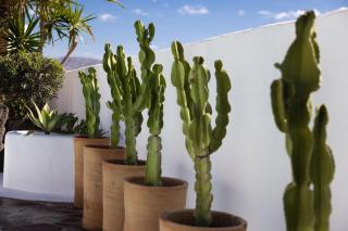 Casa Margarita Soo - 9