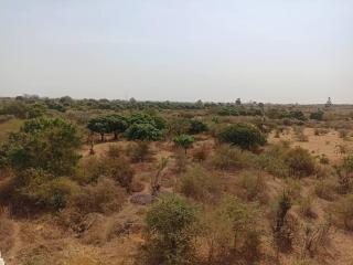 Gite de la savane - 1