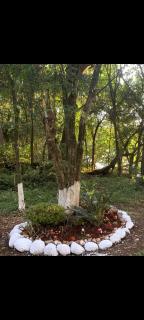 Pousada da vila - Abelardo Luz - 2