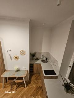 Stylowa kawalerka, centrum, Poznań - Poznań - 4
