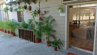 Jia's Homestay - Lugu - 9