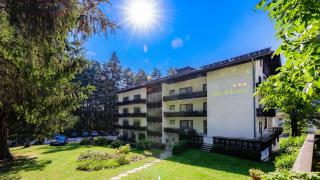 Parkhotel Zuzek - Sankt Kanzian - 2