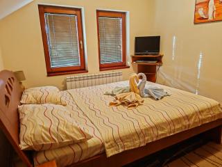 Apartman Jovana - Zlatibor - 4