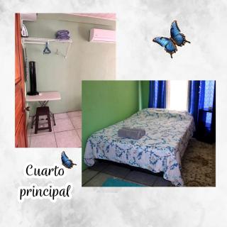 Morpho Casa Vacacional - Fortuna - 3