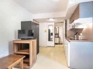 Studio with shuttle bus to the ski lift - Gresse-en-Vercors - 4