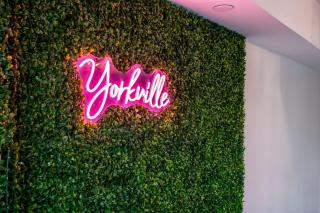 Luxurious Suite in Yorkville - 4