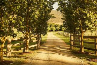 Krinklewood Estate Provence In the Hunter Valley - Broke - 2