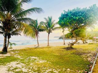 Cocon des îles - Anse-Bertrand - 2