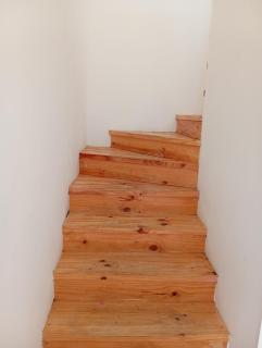 Camila - Punta Arenas - 5