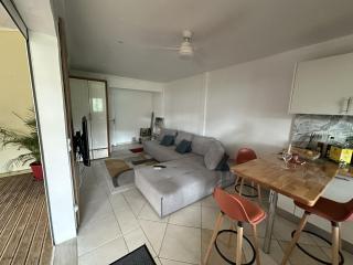 la Canne a sucre - 3