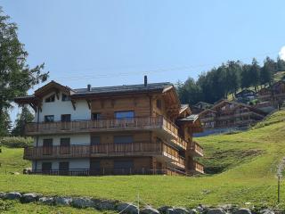 Apartment in Veysonnaz near Ski Slopes - Veysonnaz - 3