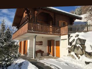 Sunny chalet in Veysonnaz with garden - 1