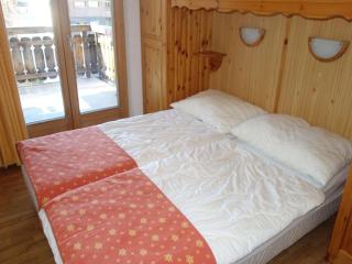 Amazing apartment with valley view - Nendaz - 8