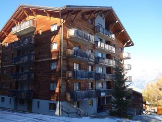 Pleasant apartment with sauna - Nendaz - 5