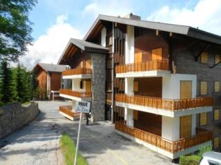 Apartment in Veysonnaz near Ski Lift - Veysonnaz - 2