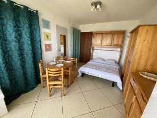 Appartement au Lavandou avec terrasse vue mer et parking - FR-1-816-17 - Le Lavandou - 3