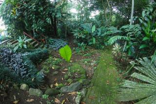 Loft Arenal, Pool & Hot Springs - Fortuna - 5