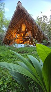 Balinesa Ecolodge - 9