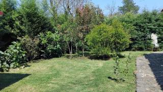 Cabaña Los Bambues - La Venta - 8