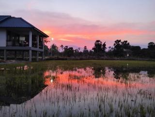 Baksaei Retreat Ricefield Villas - Kampot - 8